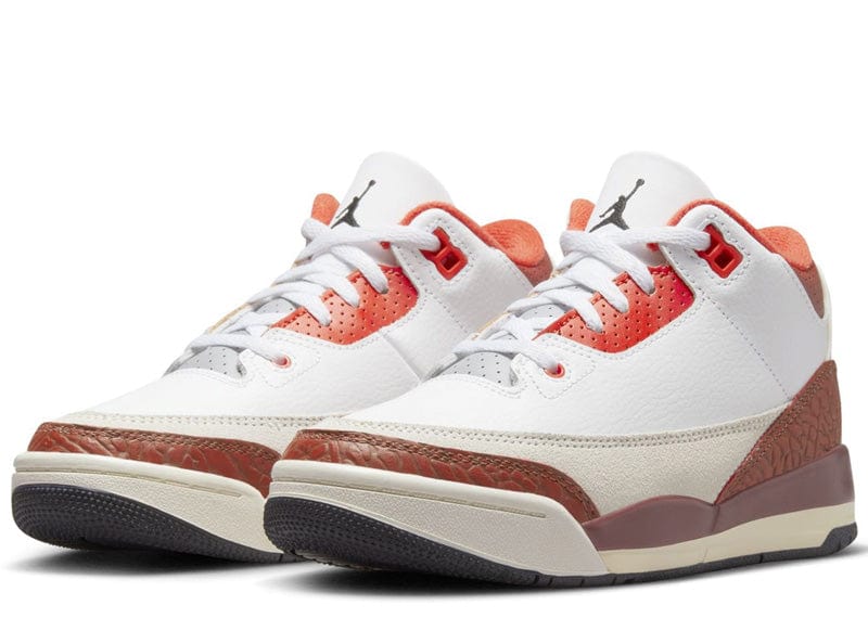 Jordan 3 Retro SE Dunk on Mars